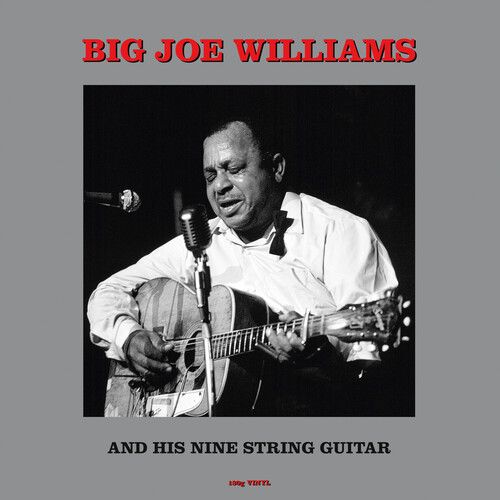 

Mississippi's Big Joe Williams and His Nine-String Guitar [LP] - VINYL