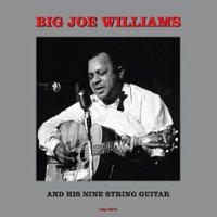 Mississippi's Big Joe Williams and His Nine-String Guitar [LP] - VINYL - Front_Standard