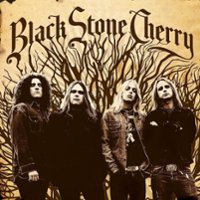 Black Stone Cherry [LP] - VINYL - Front_Original