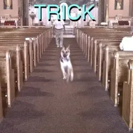 Trick [LP] - VINYL