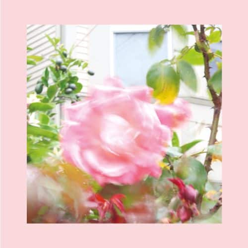 

Summer at Land's End [LP] - VINYL