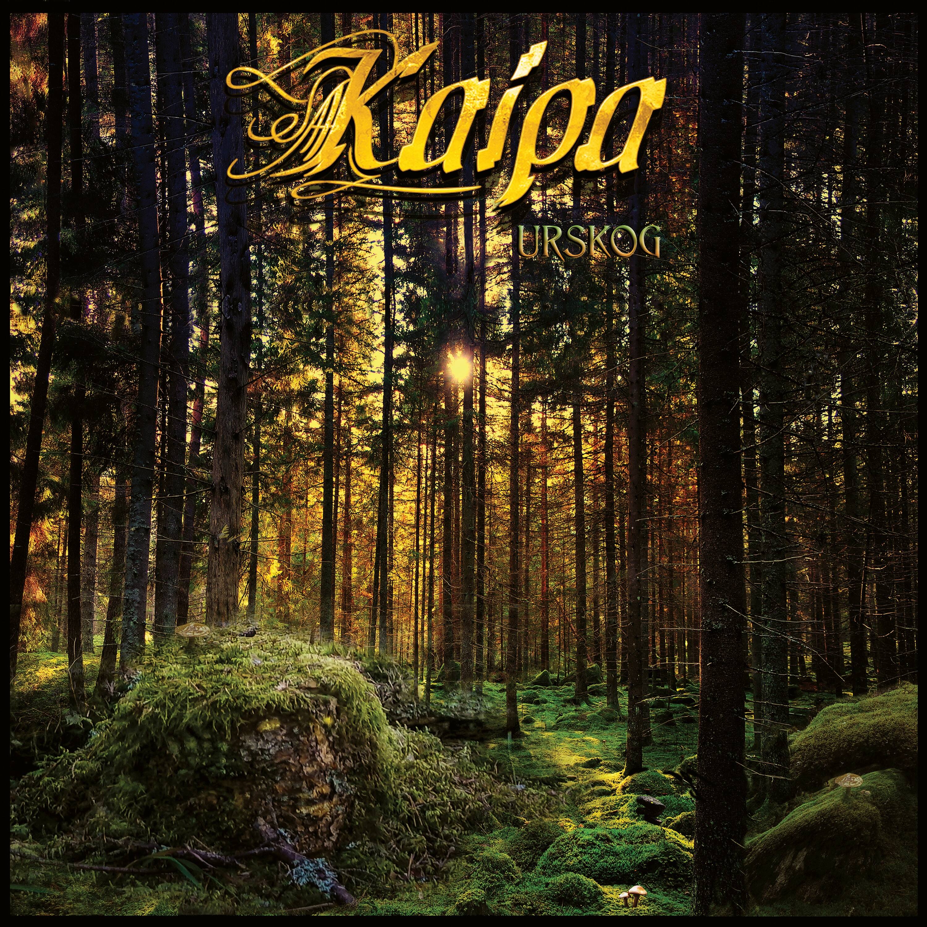 

Urskog [LP] - VINYL