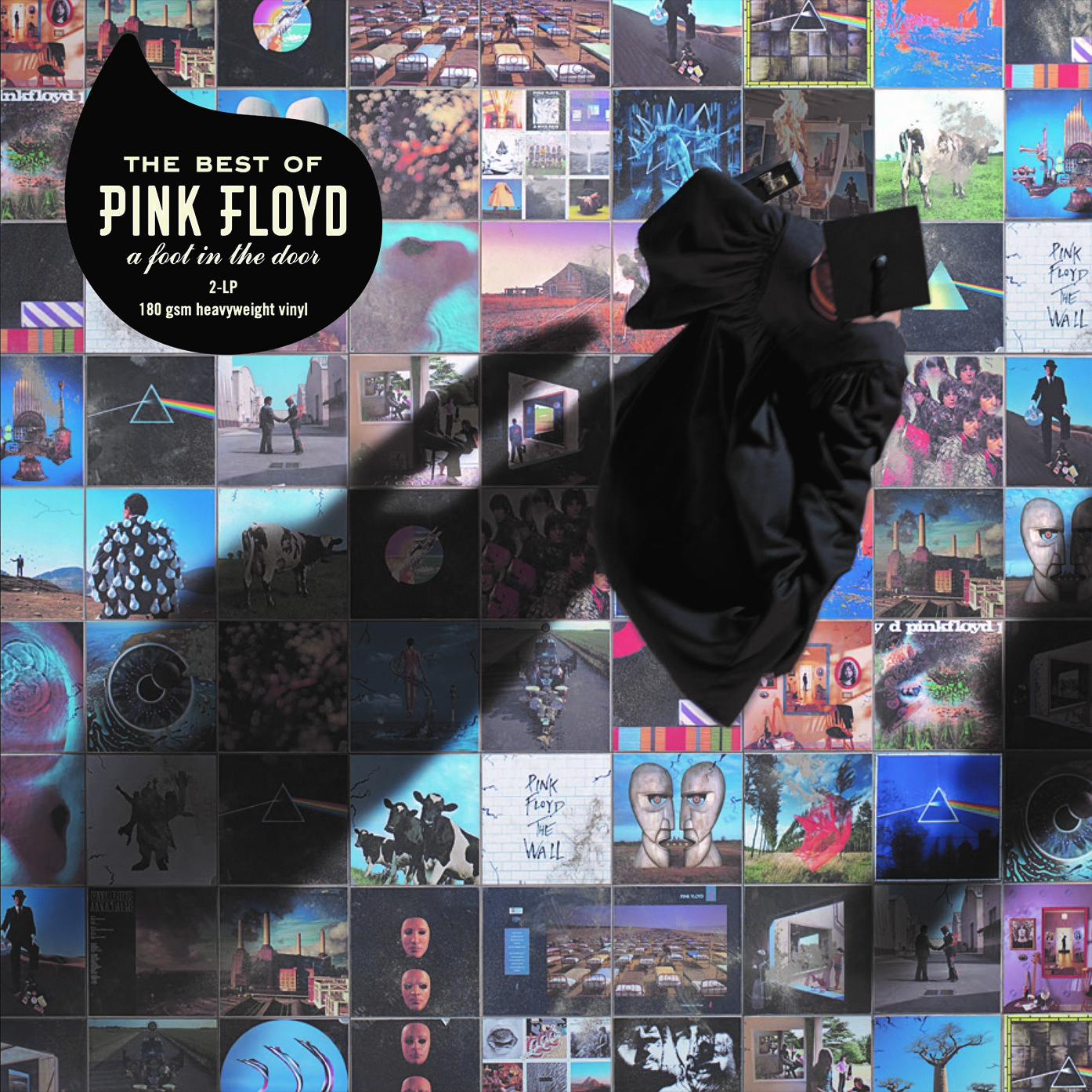 A Foot in the Best Pink Floyd [LP] - Best Buy