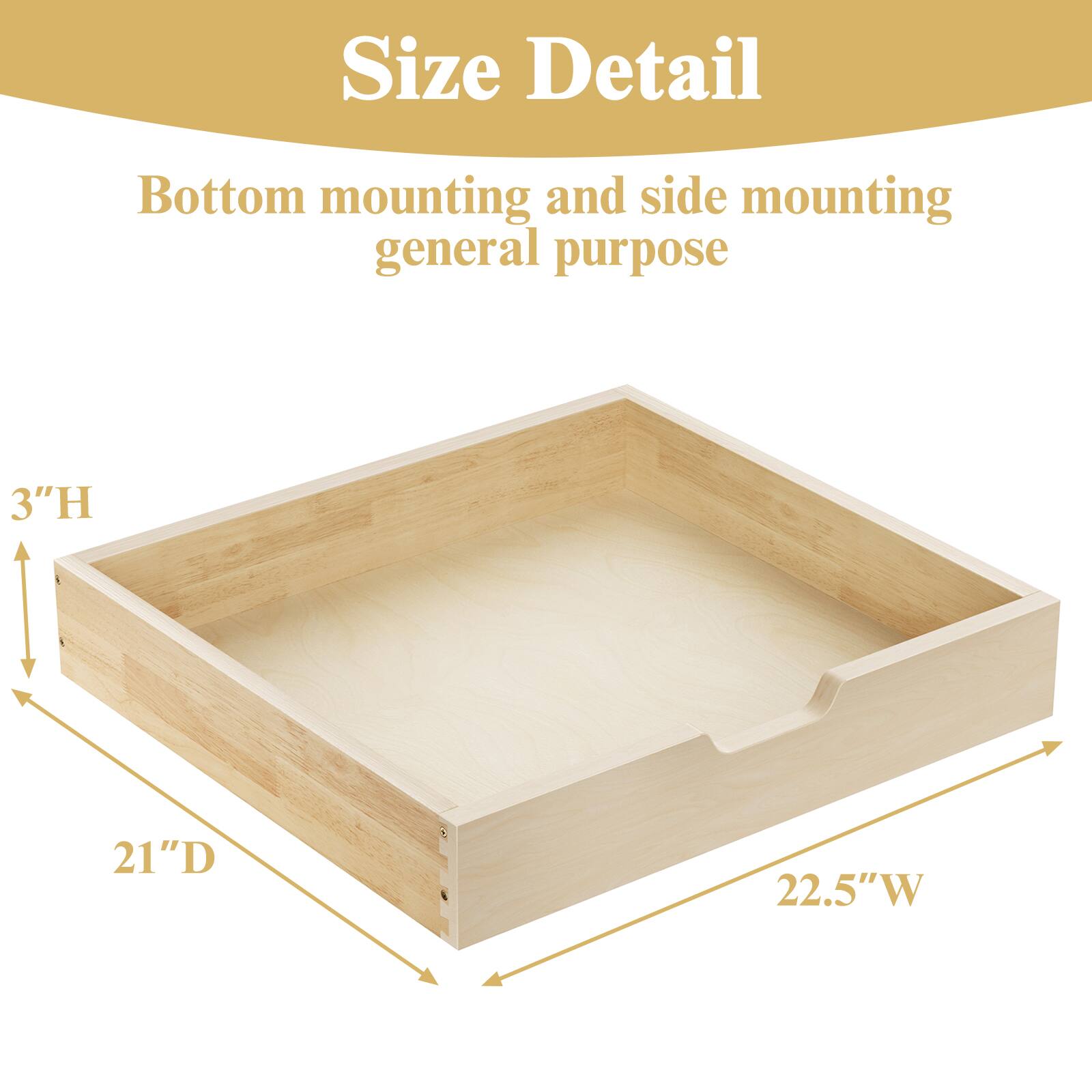 Size Detail

Bottom mounting and side mounting general purpose

3"H  
21"D  
22.5"W