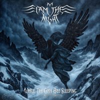 While the Gods Are Sleeping [LP] - VINYL - Front_Zoom