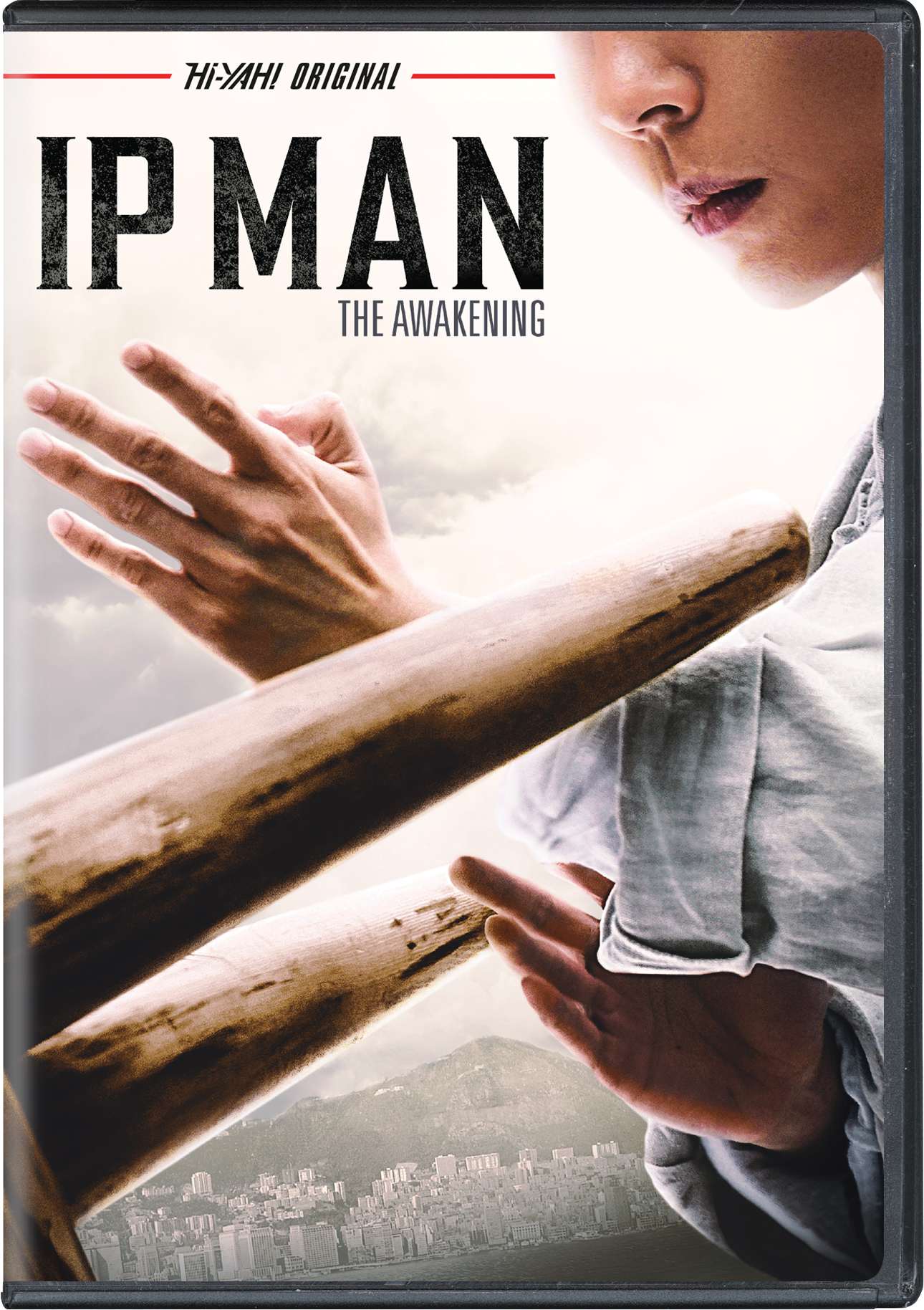 Ip Man The Awakening [2022] Best Buy