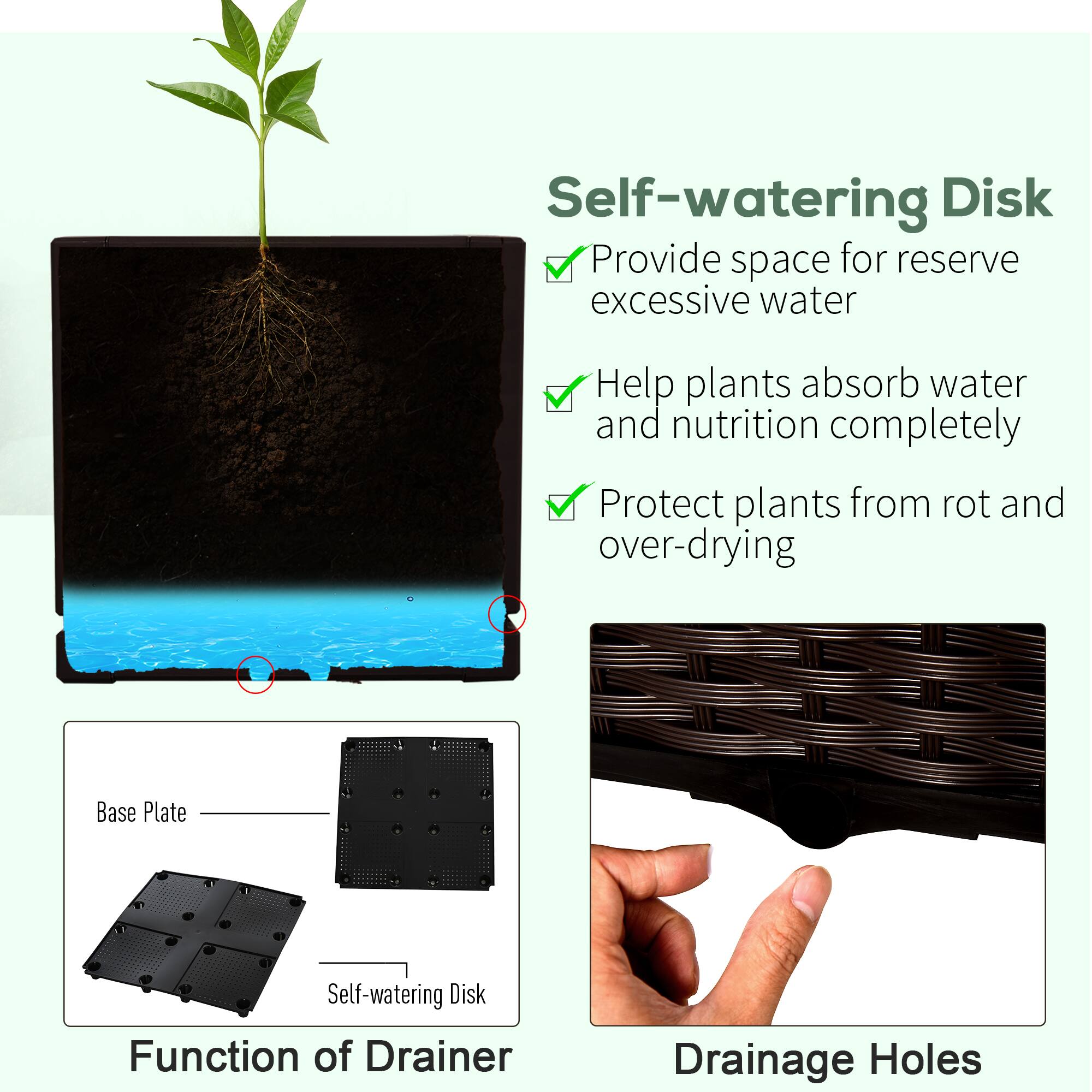 Self-watering Disk

- Provide space for reserve excessive water
- Help plants absorb water and nutrition completely
- Protect plants from rot and over-drying

Base Plate

Self-watering Disk

Function of Drainer

Drainage Holes