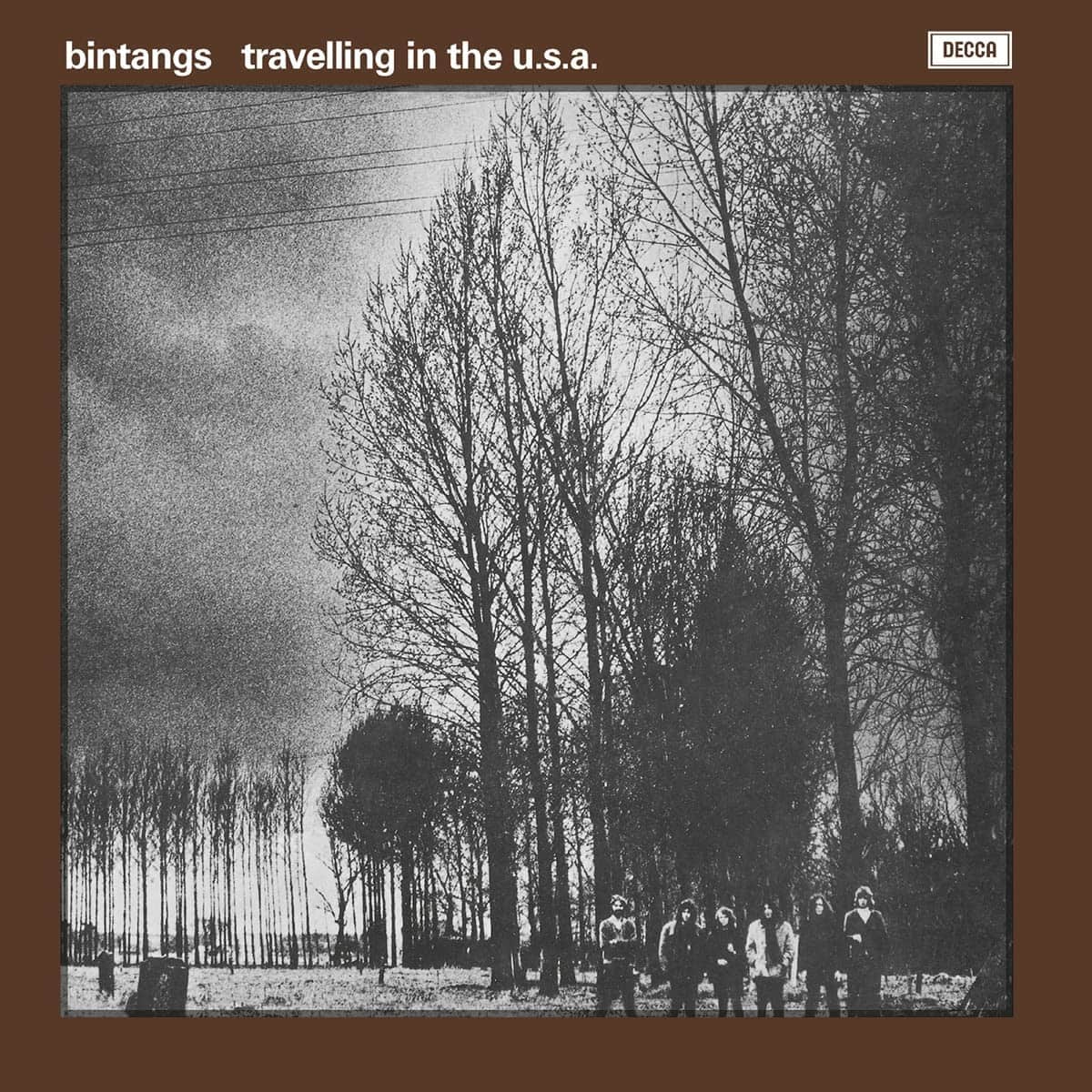 

Travelling in the U.S.A. [LP] - VINYL