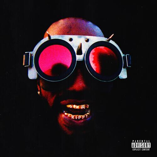 

The Hustle Continues [LP] - VINYL