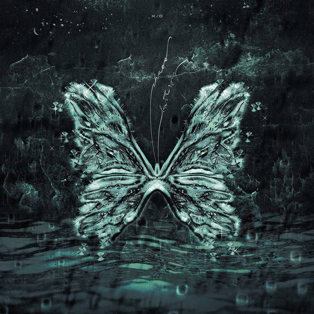 

Chaos Butterfly [LP] - VINYL