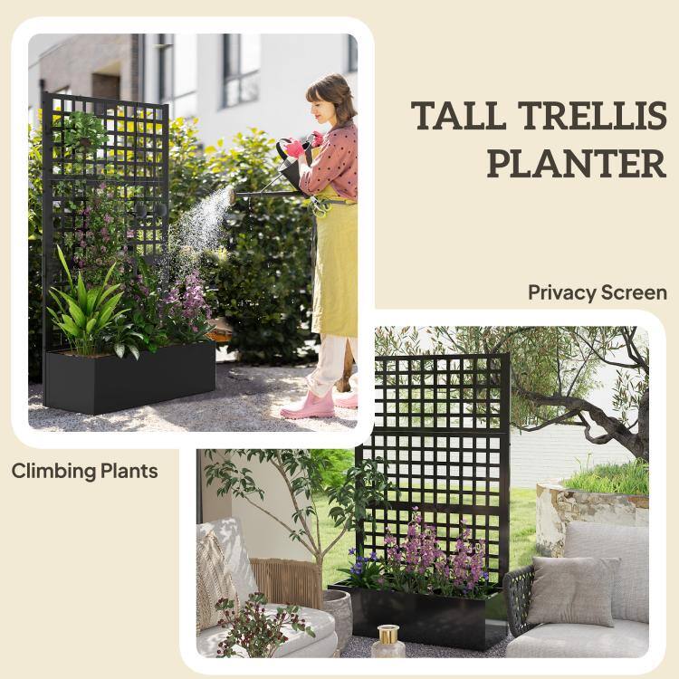 TALL TRELLIS PLANTER  
Privacy Screen  
Climbing Plants