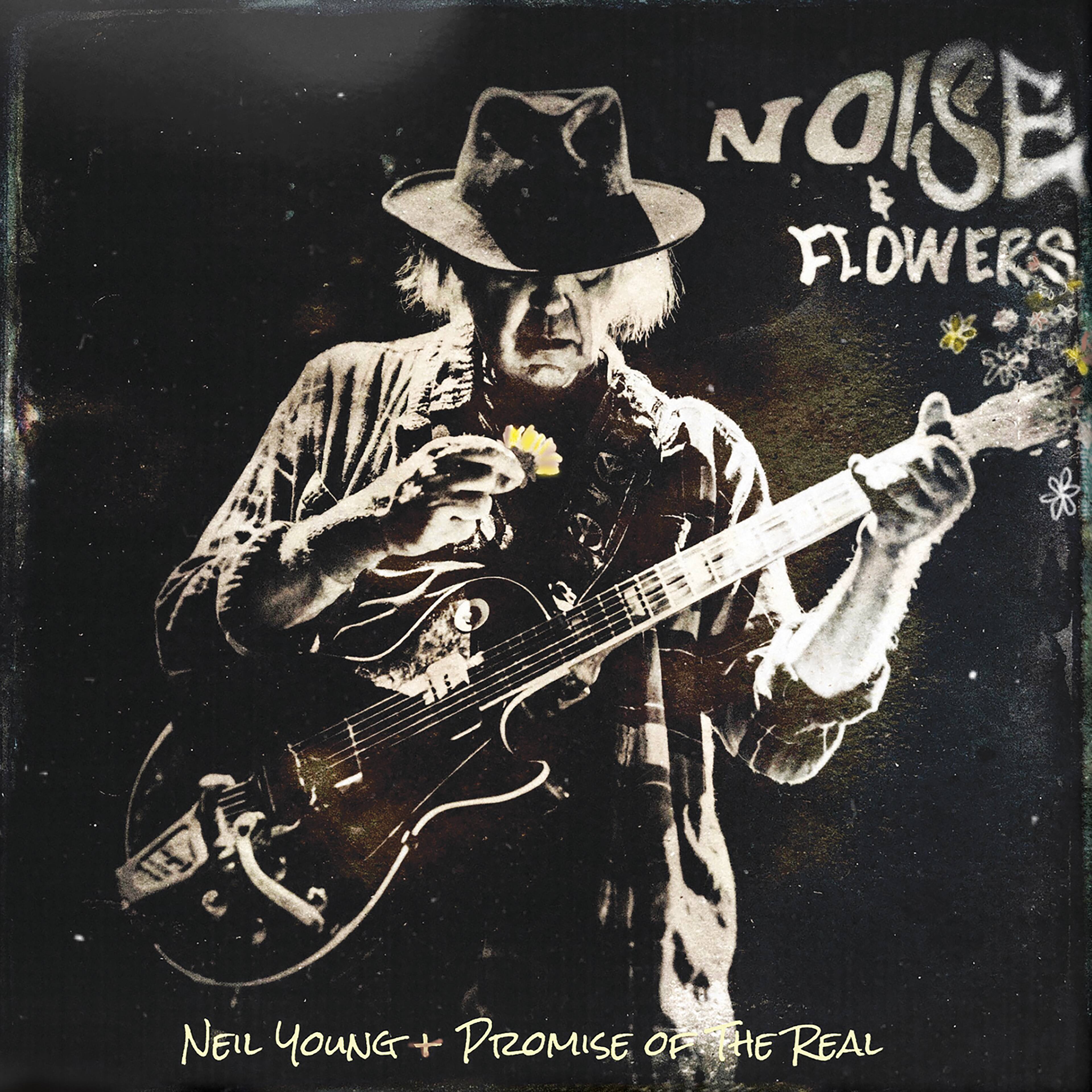 Noise and Flowers [LP] - VINYL