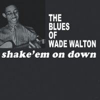 Shake Em on Down [LP] - VINYL - Front_Zoom