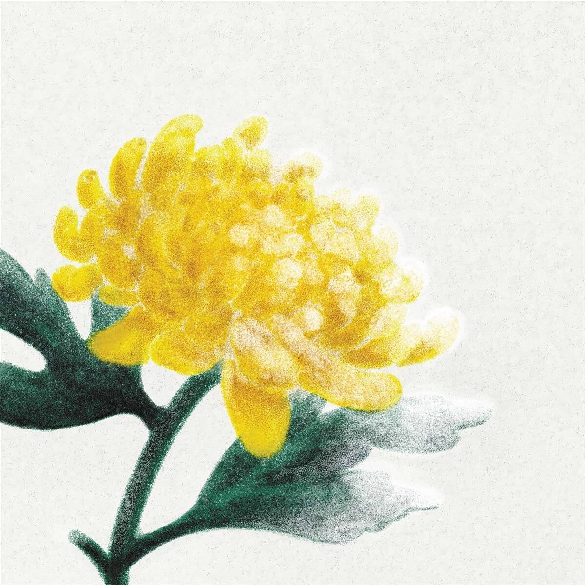 

Spring Snow [LP] - VINYL