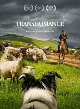 Transhumance: Routes To A Disappearing Life - DVD