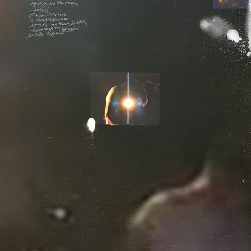 

Singe [LP] - VINYL