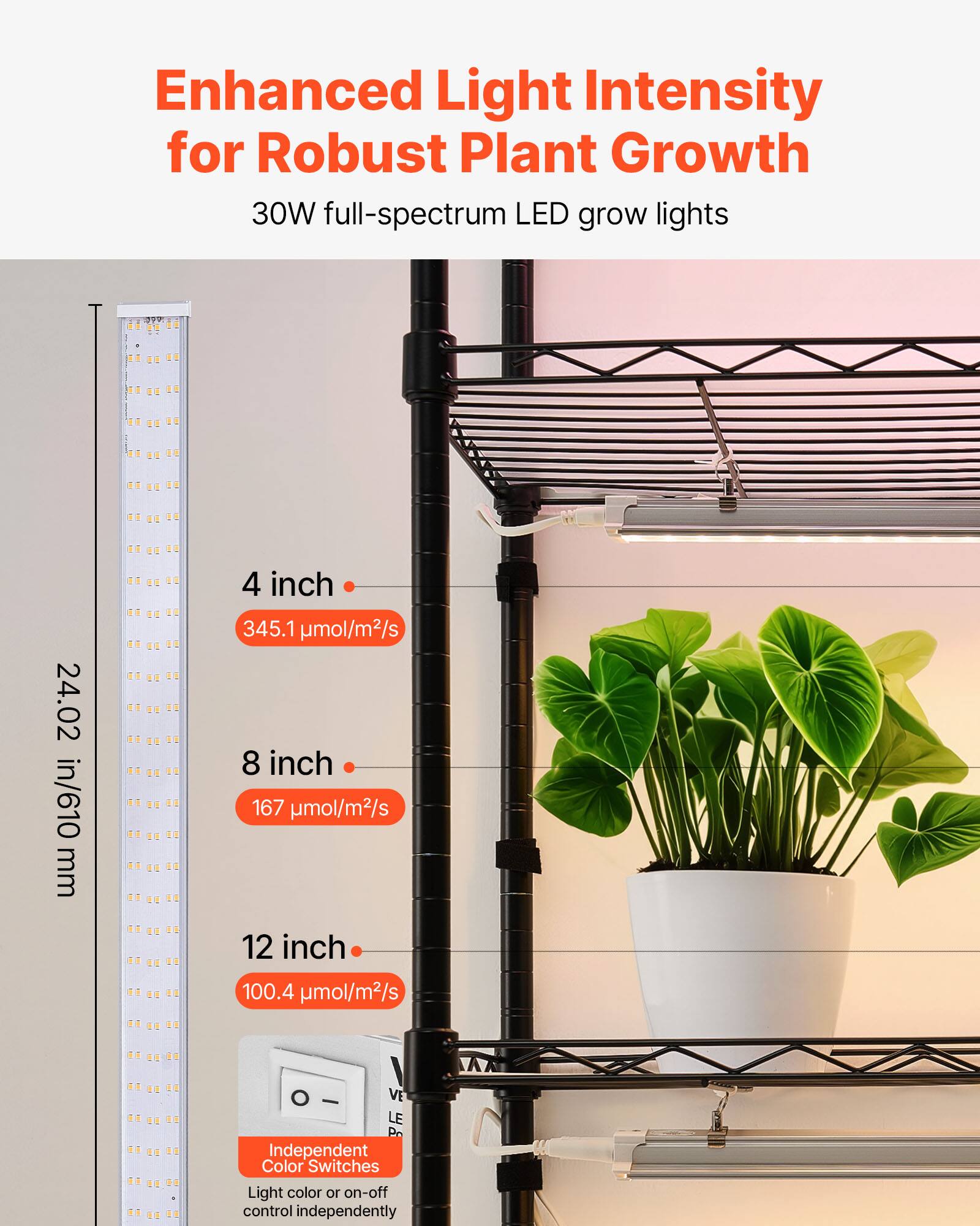 Enhanced Light Intensity for Robust Plant Growth

30W full-spectrum LED grow lights

24.02 in/610 mm

4 inch - 345.1 μmol/m²/s

8 inch - 167 μmol/m²/s

12 inch - 100.4 μmol/m²/s

Independent Color Switches

Light color or on-off control independently