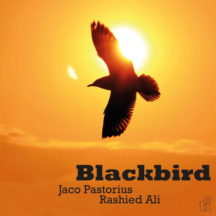 

Black Bird [LP] - VINYL