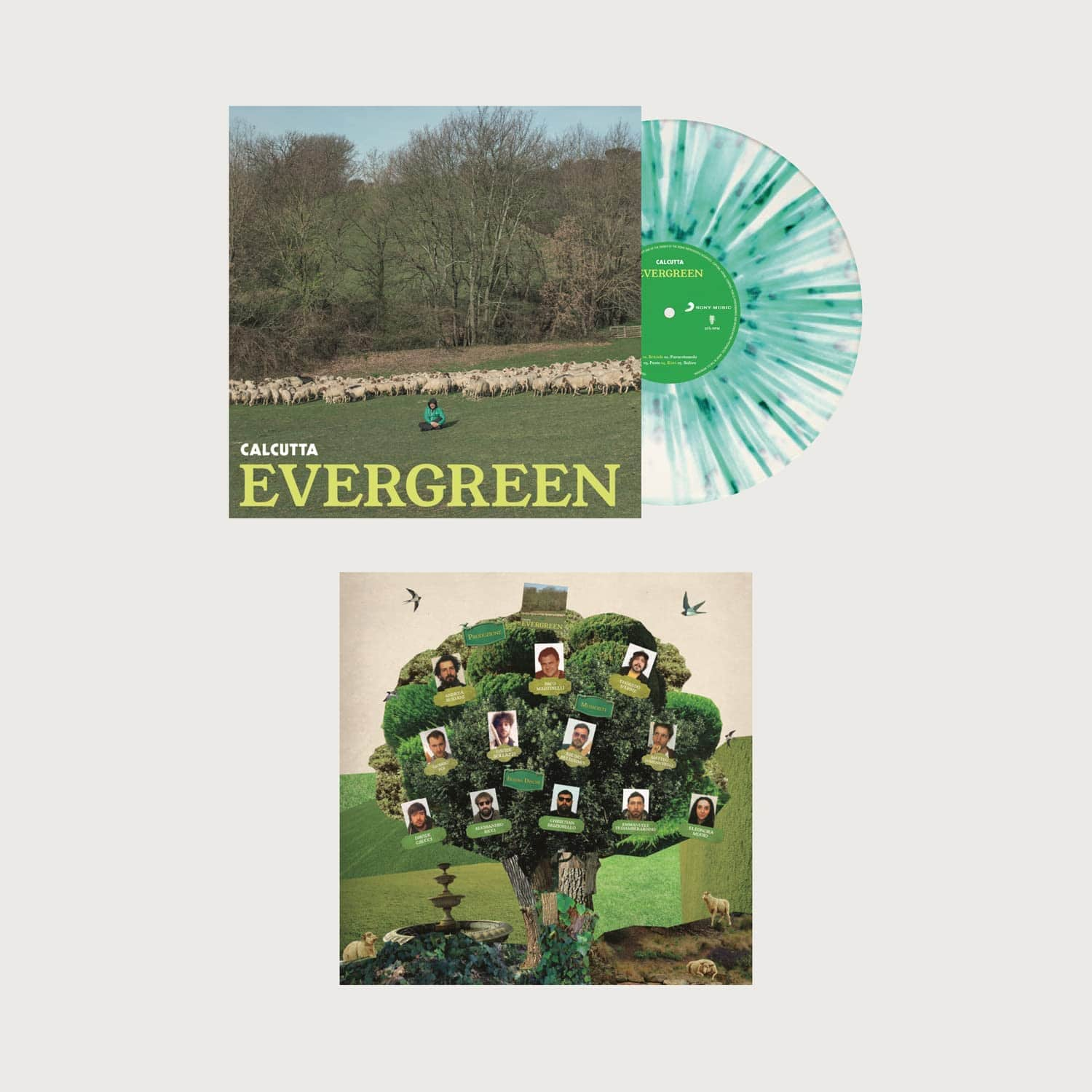 

Evergreen [LP] - VINYL