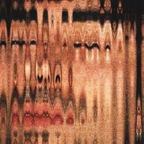 

El Arte de Morir Muy Despacio [LP] - VINYL