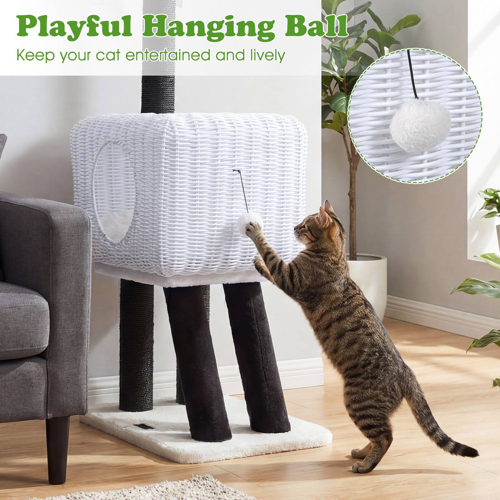 Playful Hanging Ball  
Keep your cat entertained and lively