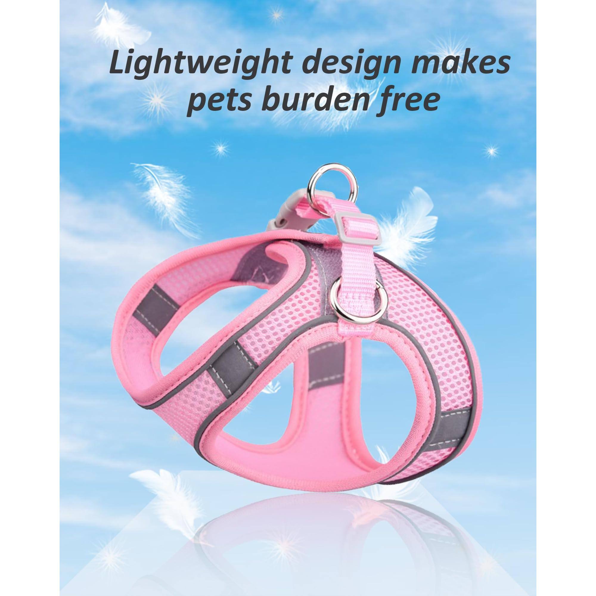 Lightweight design makes pets burden free