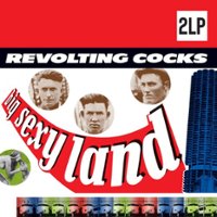 Big Sexy Land [LP] - VINYL - Front_Zoom