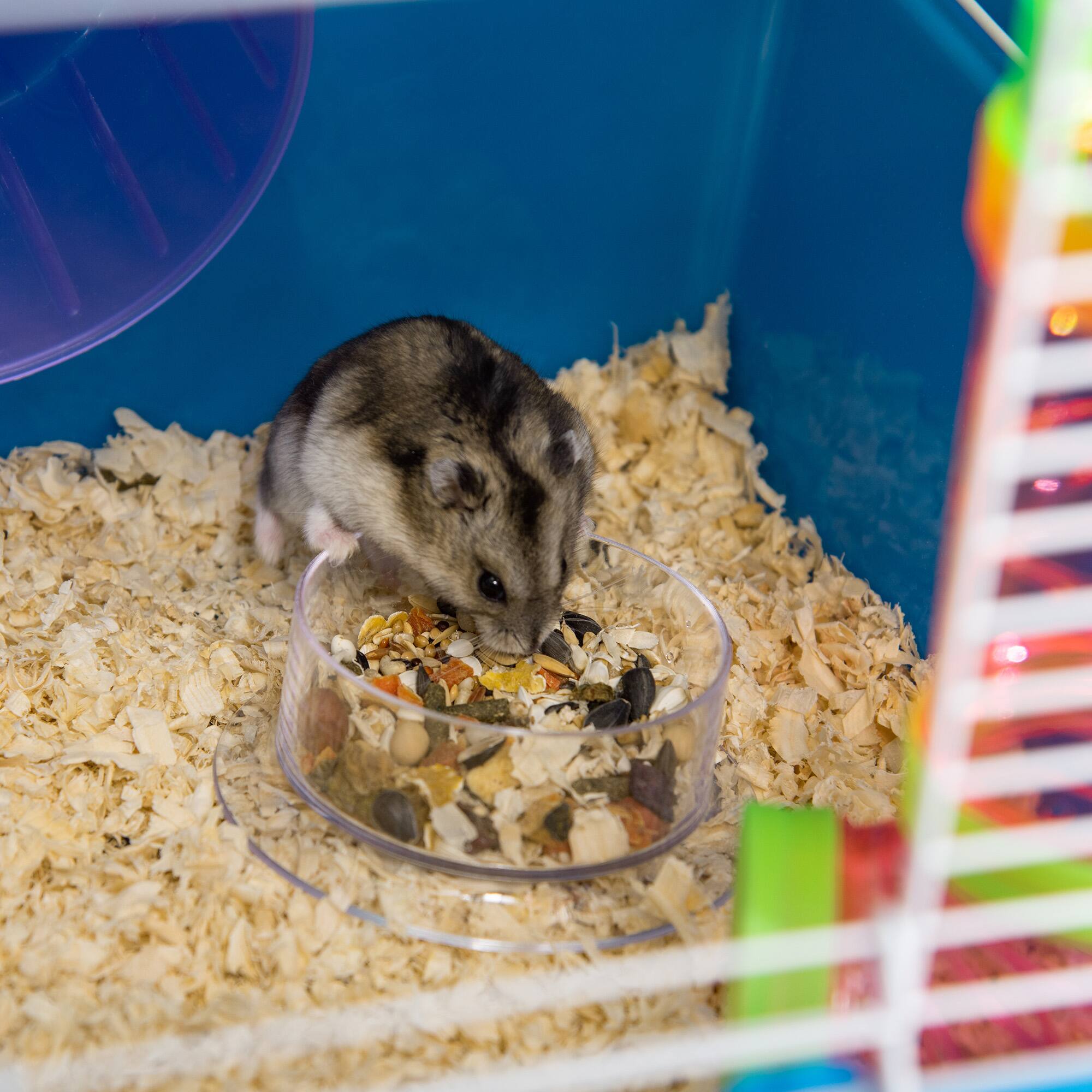 Alt View 5. Pawhut - Extra Large 23" Hamster Cage with Tubes, Portable Carry Handles, 5-Tier Design, Exercise Wheel, Water Bottle.