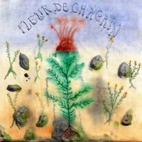 Fleur de Chagrin [LP] - VINYL - Front_Zoom