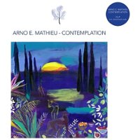 Contemplation [LP] - VINYL - Front_Zoom