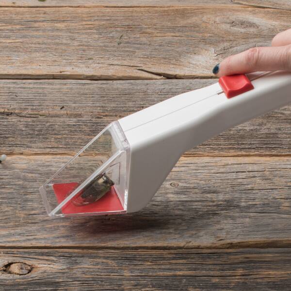 Alt View 1. Kings County Tools - Humane Bug Catcher Tool - Clear, White, and Red.