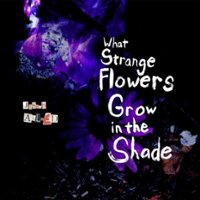 What Strange Flowers in the Shade [LP] - VINYL - Front_Zoom