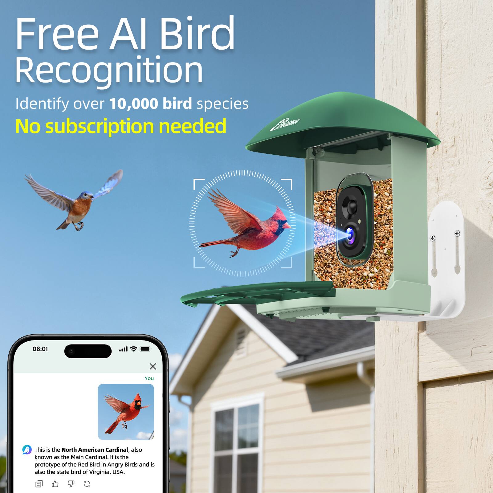 Free AI Bird Recognition  
Identify over 10,000 bird species  
No subscription needed  

This is the North American Cardinal, also known as the Main Cardinal. It is the prototype of the Red Bird in Angry Birds and is also the state bird of Virginia, USA.