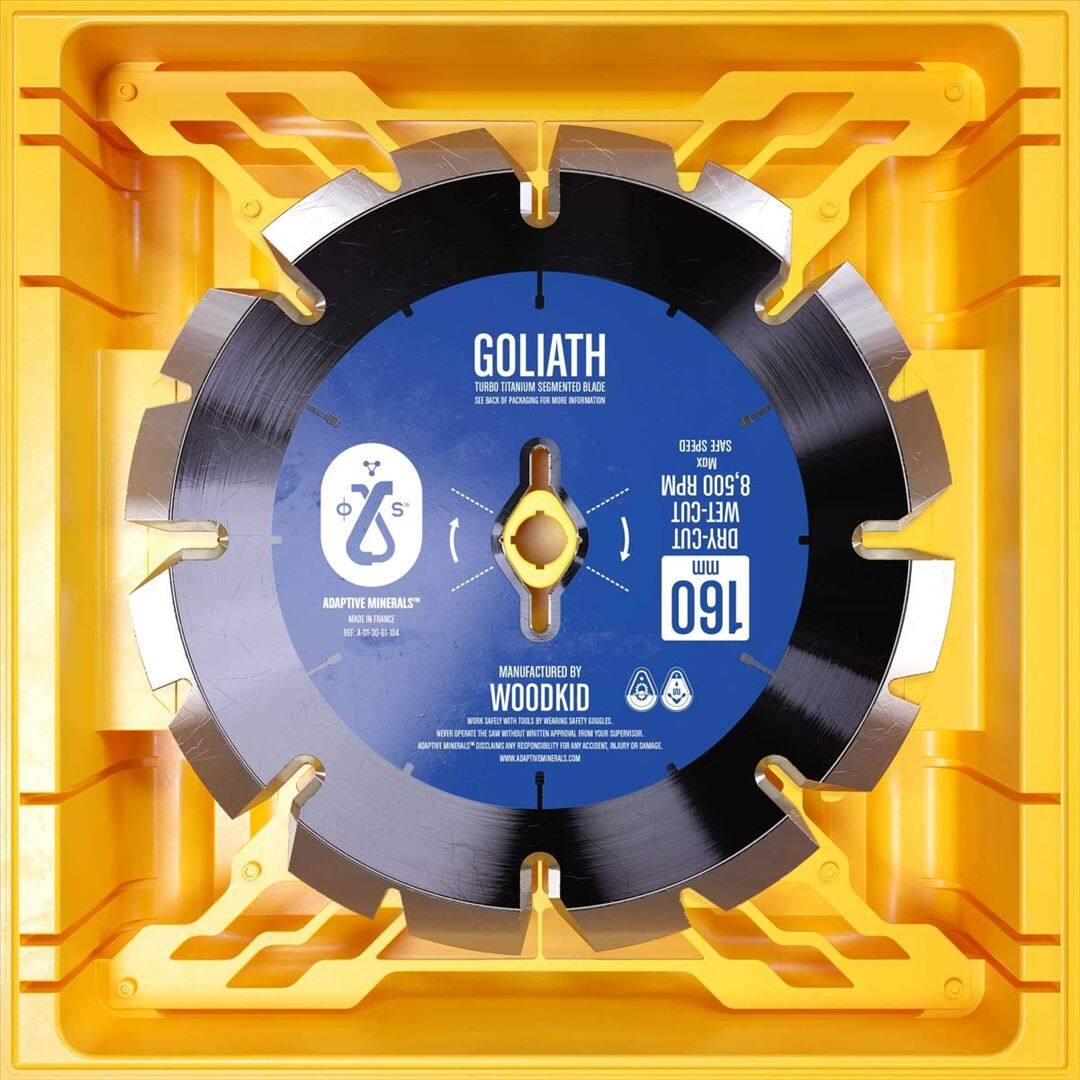 Goliath [7 inch Vinyl Disc] price history on PriceWatchPro