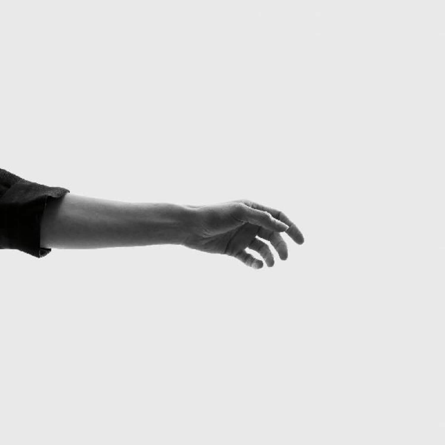 Keeley Forsyth - Limbs   - VINYL LP price history on PriceWatchPro