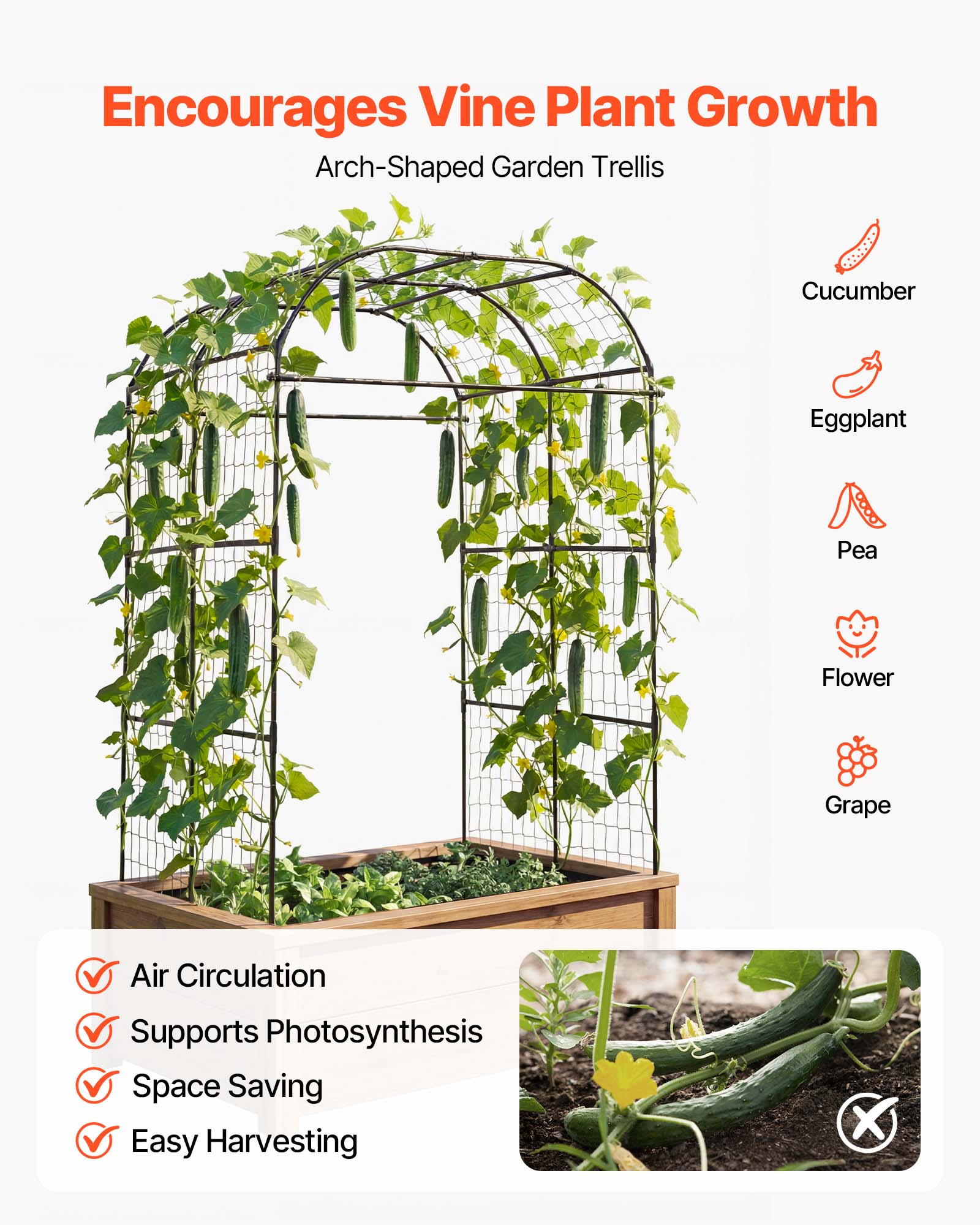 Encourages Vine Plant Growth  
Arch-Shaped Garden Trellis  

- Cucumber  
- Eggplant  
- Pea  
- Flower  
- Grape  

- Air Circulation  
- Supports Photosynthesis  
- Space Saving  
- Easy Harvesting