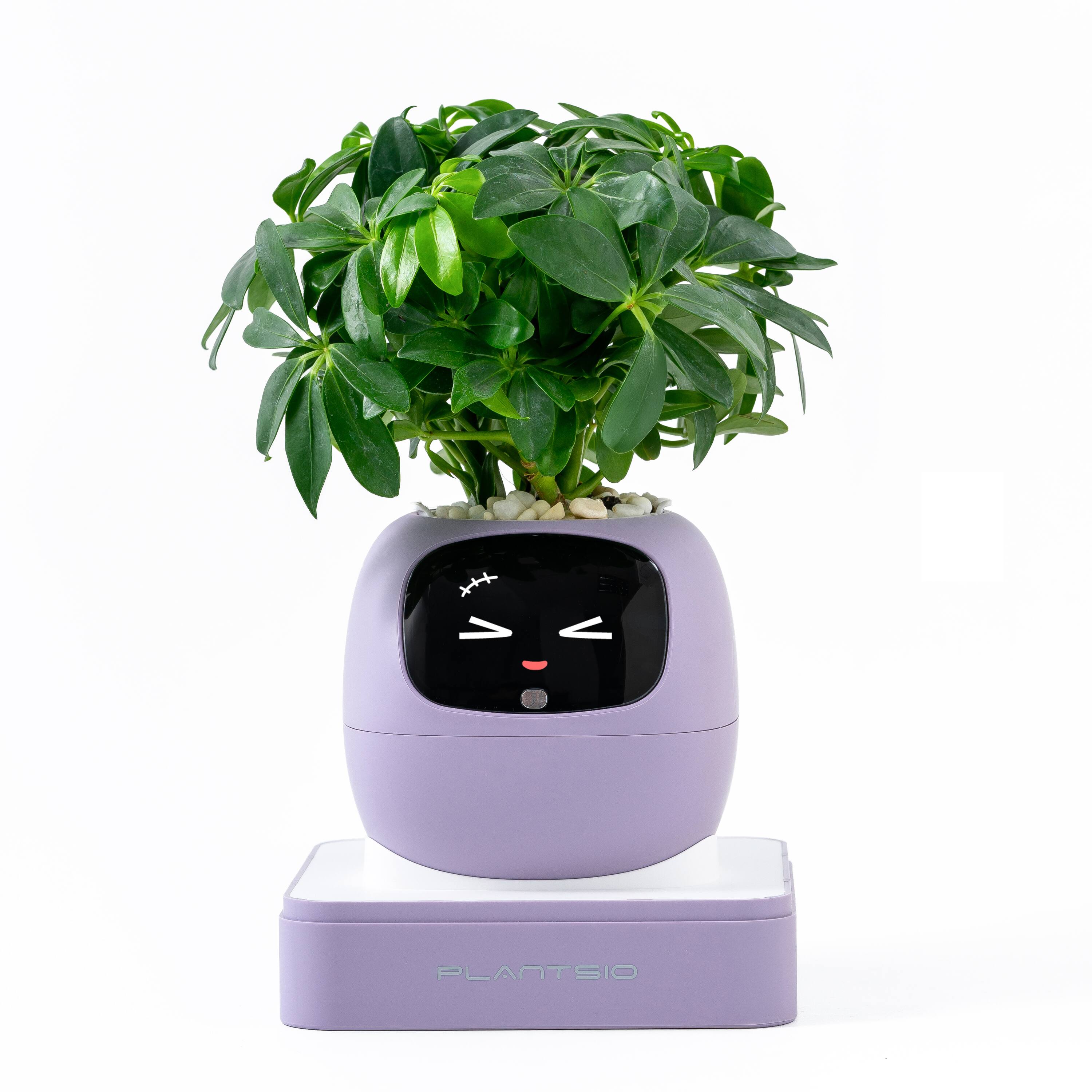 Front. PlantsIO - Ivy Gen 2 Smart Planter-PURPLE.