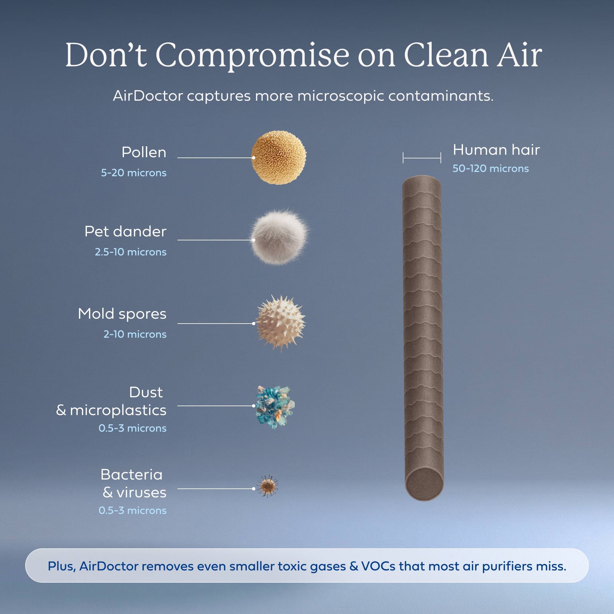 Don't Compromise on Clean Air

AirDoctor captures more microscopic contaminants.

- Pollen: 5-20 microns
- Human hair: 50-120 microns
- Pet dander: 2.5-10 microns
- Mold spores: 2-10 microns
- Dust & microplastics: 0.5-3 microns
- Bacteria & viruses: 0.5-3 microns

Plus, AirDoctor removes even smaller toxic gases & VOCs that most air purifiers miss.