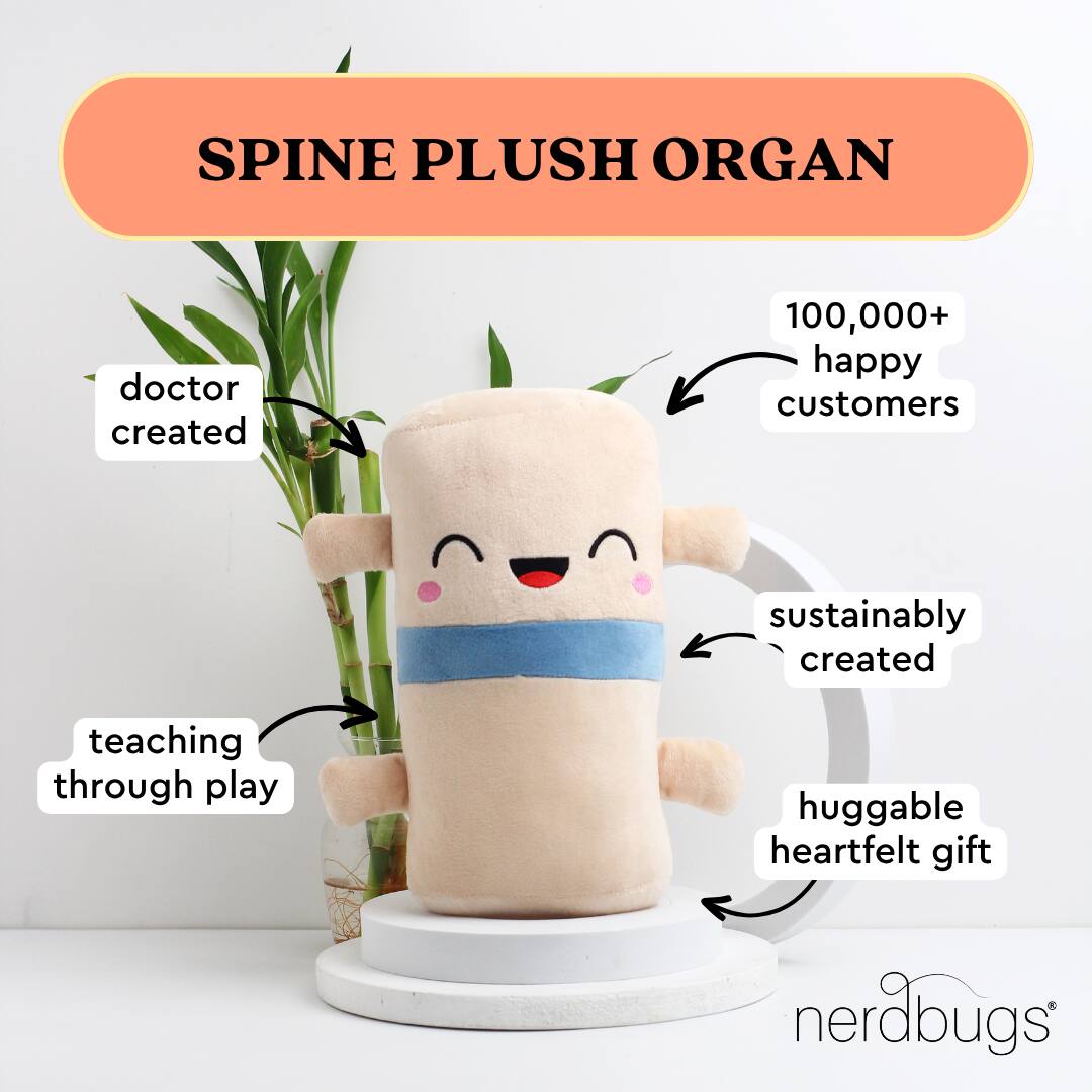 SPINE PLUSH ORGAN

- doctor created
- teaching through play
- sustainably created
- huggable heartfelt gift
- 100,000+ happy customers

nerdbugs®