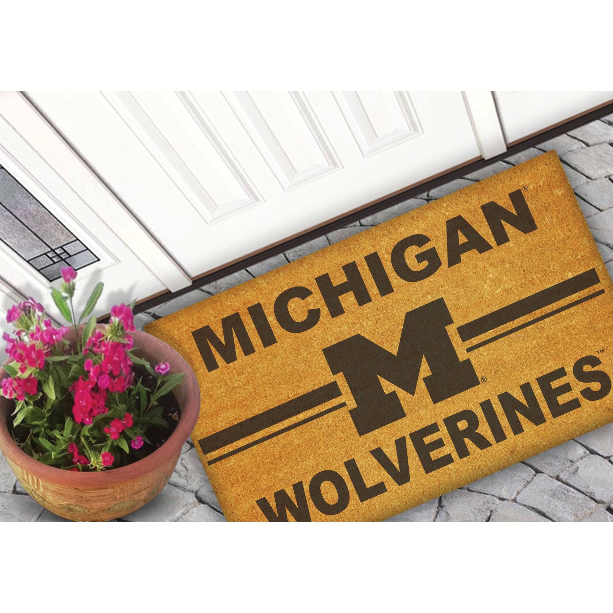 MICHIGAN  
M  
WOLVERINES