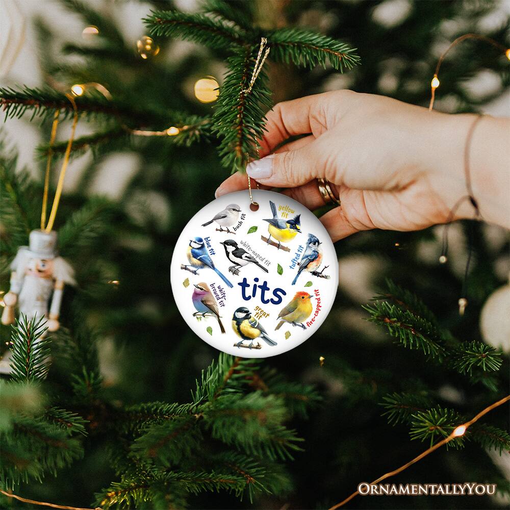 Sure, here is the corrected and grouped text:

- Great Tit
- Blue Tit
- Coal Tit
- Marsh Tit
- Willow Tit
- Crested Tit
- Lesser Spotted Tit
- Yellow Tit
- Fire-capped Tit
- White-naped Tit
- Tufted Tit
- White-browed Tit
- Ornamentally You