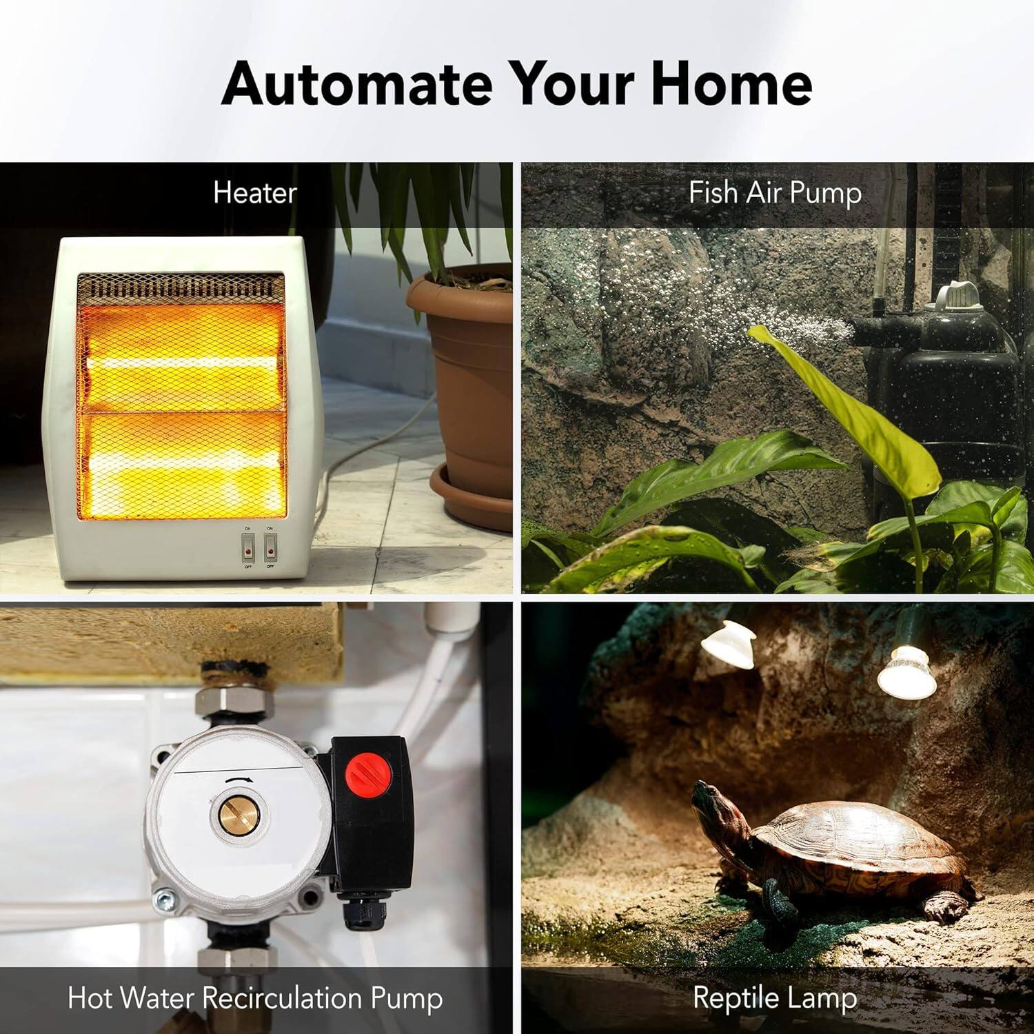 Automate Your Home

- Heater
- Fish Air Pump
- Hot Water Recirculation Pump
- Reptile Lamp