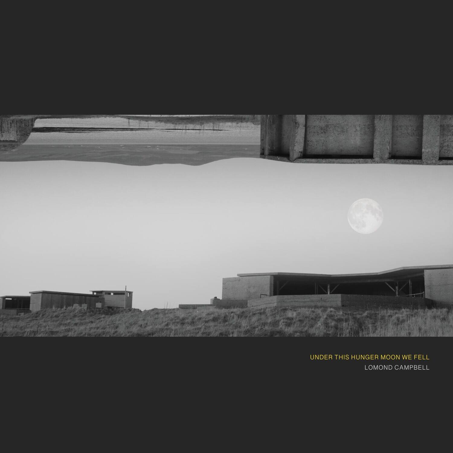 Lomond Campbell - UNDER THIS HUNGER MOON WE FELL   - COMPACT DISCS [CD] price history on PriceWatchPro