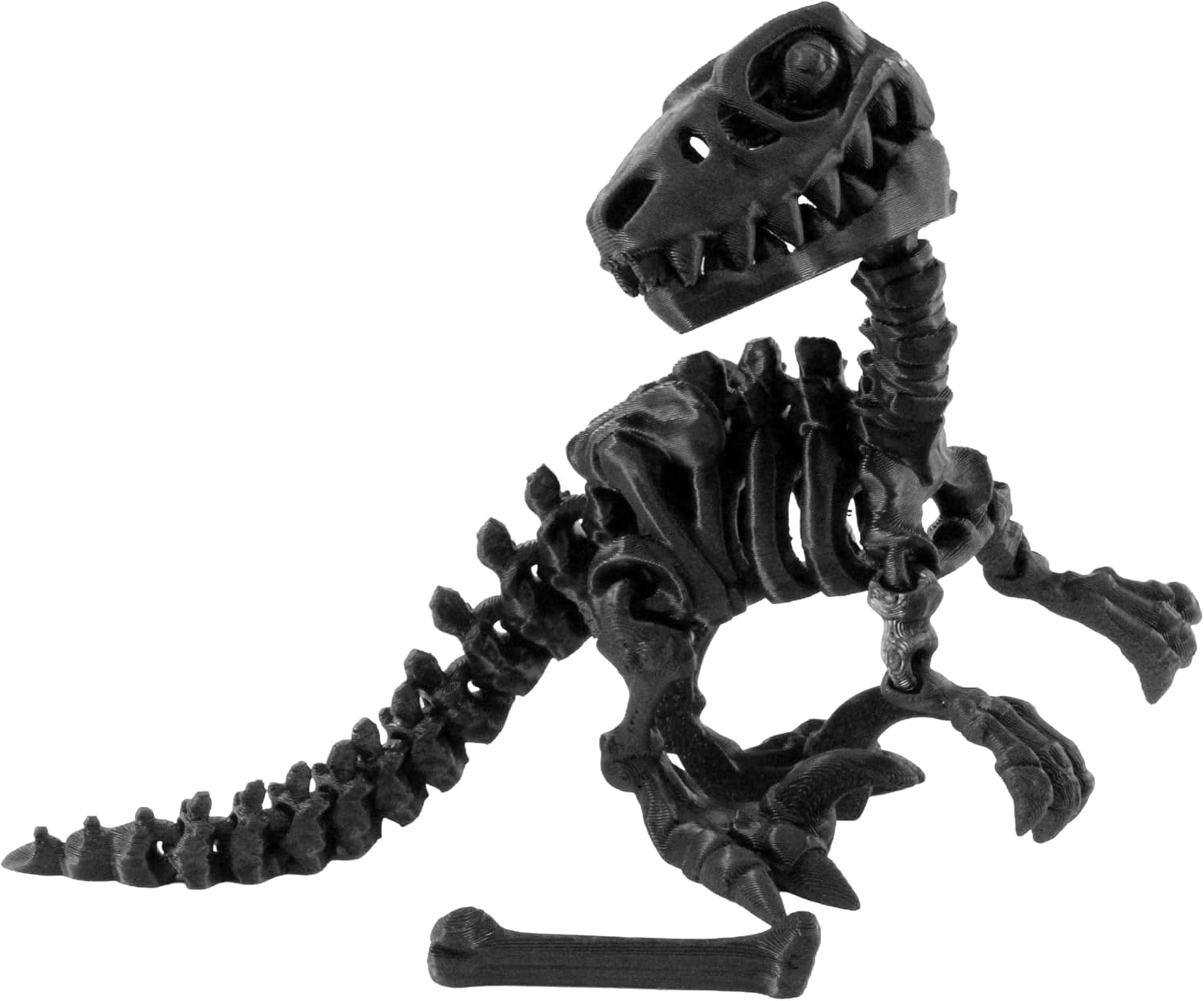 JuzToys 3D Printed Skeleton Velociraptor, Prehistoric Collectible ...