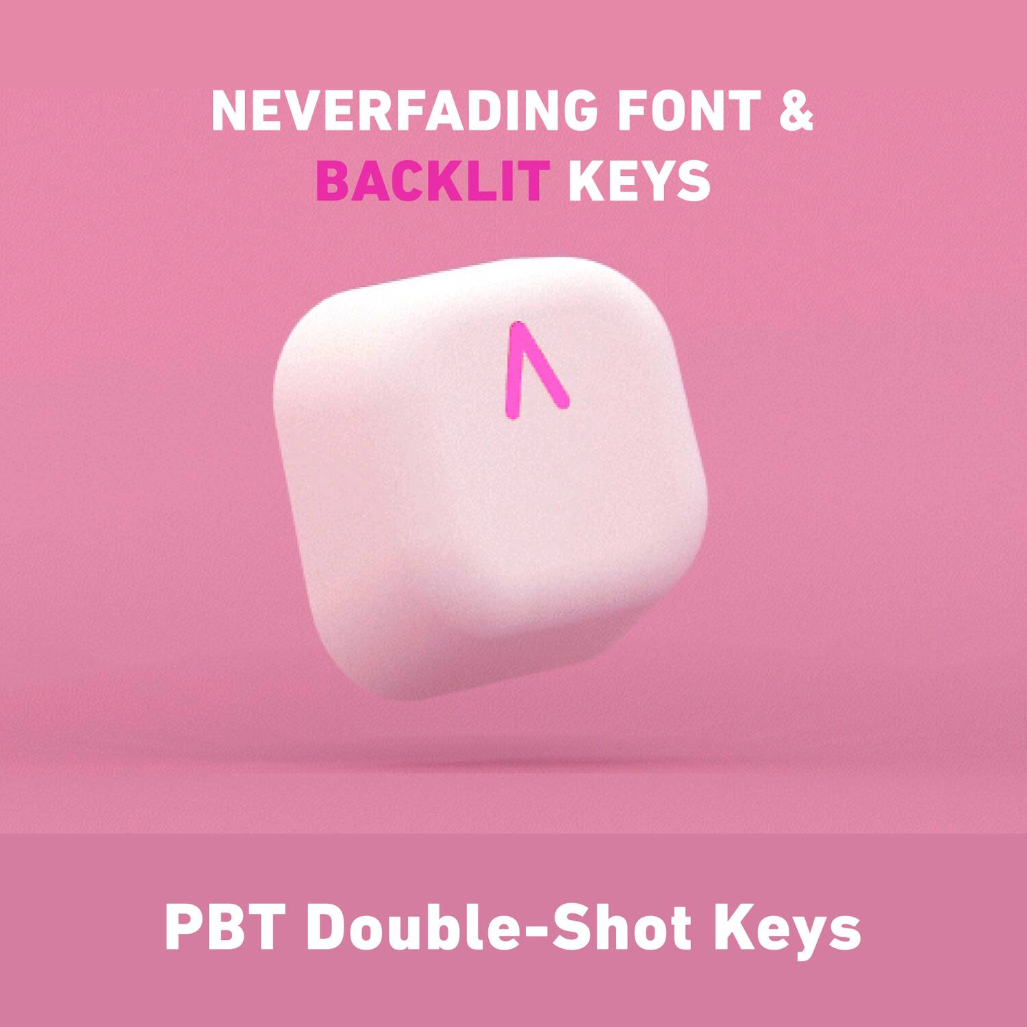 NEVERFADING FONT & BACKLIT KEYS

PBT Double-Shot Keys