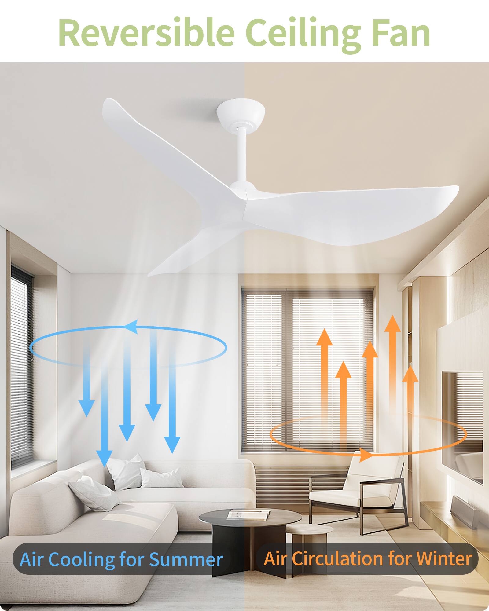 Reversible Ceiling Fan

Air Cooling for Summer

Air Circulation for Winter