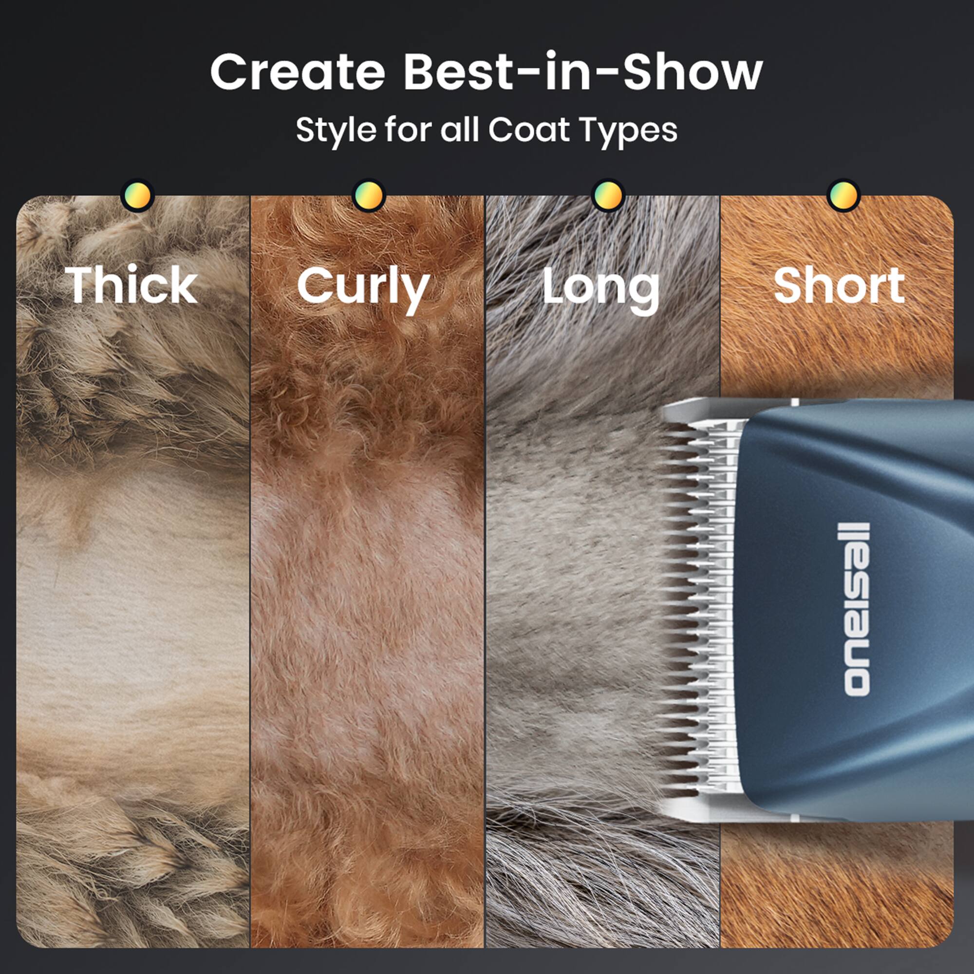 Create Best-in-Show Style for all Coat Types  
Thick Curly Long Short  
oneisall