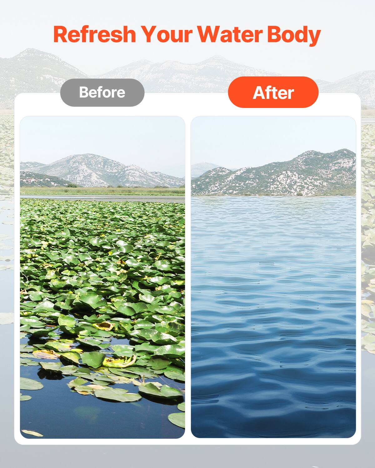 Refresh Your Water Body

Before

After