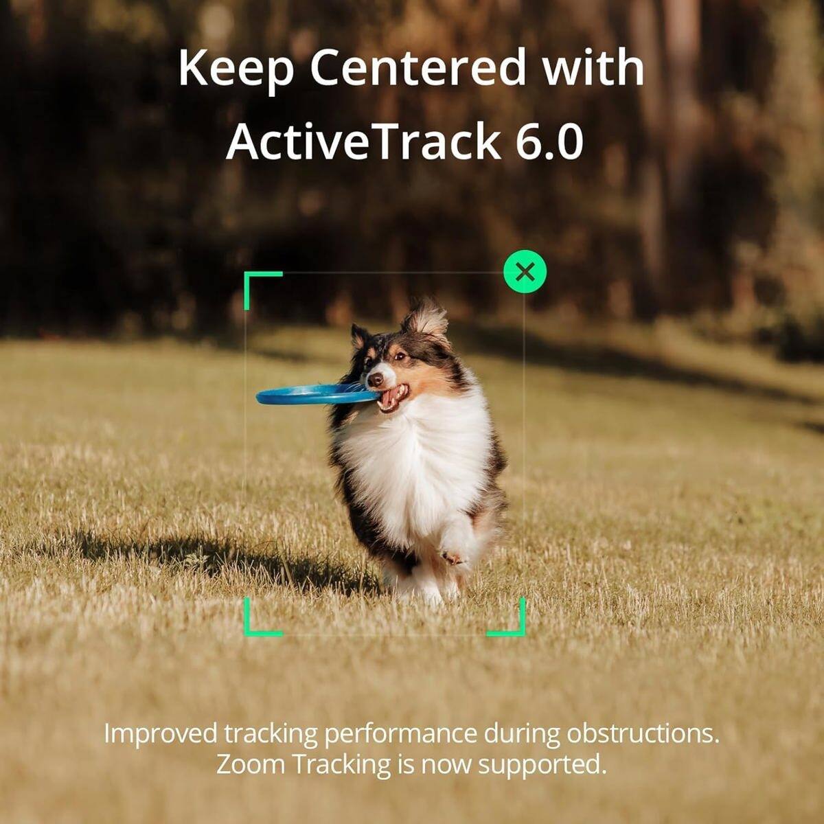 Keep Centered with ActiveTrack 6.0

Improved tracking performance during obstructions. Zoom Tracking is now supported.