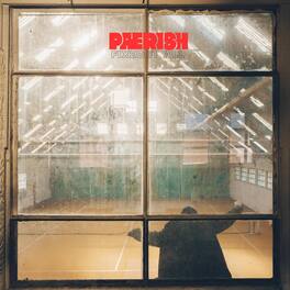 Paerish - Fixed It All - VINYL LP